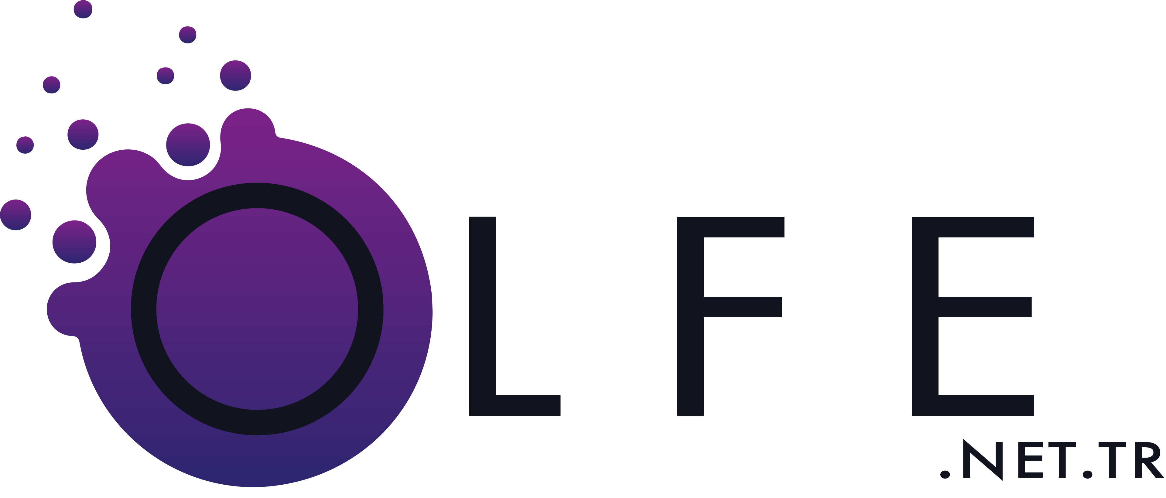 Olfe 2018